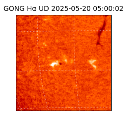 gong - 2025-05-20T05:00:02