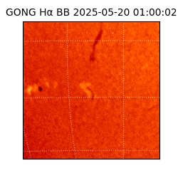 gong - 2025-05-20T01:00:02