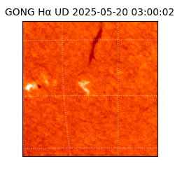 gong - 2025-05-20T03:00:02