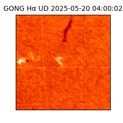 gong - 2025-05-20T04:00:02