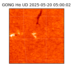 gong - 2025-05-20T05:00:02