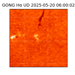 gong - 2025-05-20T06:00:02