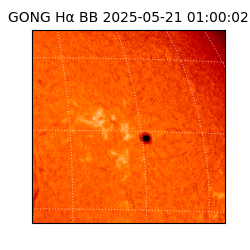 gong - 2025-05-21T01:00:02