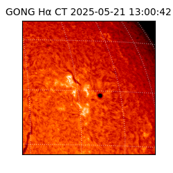 gong - 2025-05-21T13:00:42