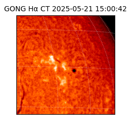 gong - 2025-05-21T15:00:42