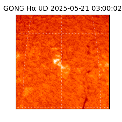 gong - 2025-05-21T03:00:02