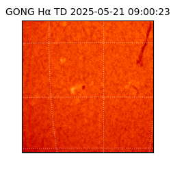 gong - 2025-05-21T09:00:23