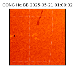 gong - 2025-05-21T01:00:02