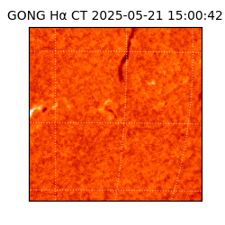 gong - 2025-05-21T15:00:42