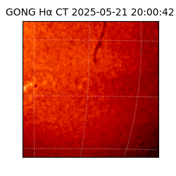 gong - 2025-05-21T20:00:42