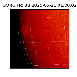 gong - 2025-05-21T01:00:02