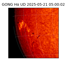 gong - 2025-05-21T05:00:02