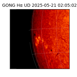 gong - 2025-05-21T02:05:02