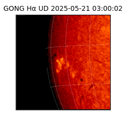 gong - 2025-05-21T03:00:02