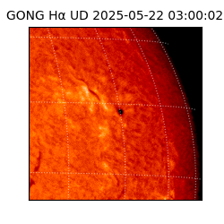 gong - 2025-05-22T03:00:02