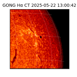 gong - 2025-05-22T13:00:42