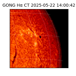 gong - 2025-05-22T14:00:42