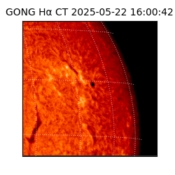 gong - 2025-05-22T16:00:42