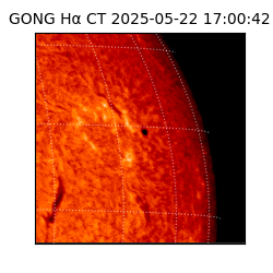 gong - 2025-05-22T17:00:42