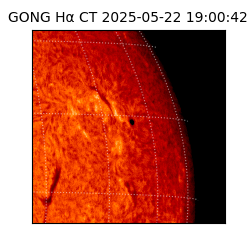 gong - 2025-05-22T19:00:42