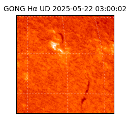 gong - 2025-05-22T03:00:02