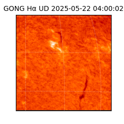 gong - 2025-05-22T04:00:02