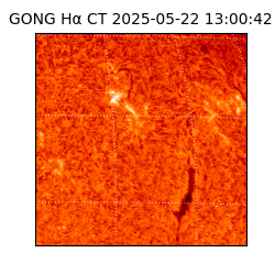 gong - 2025-05-22T13:00:42