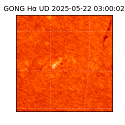 gong - 2025-05-22T03:00:02