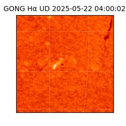 gong - 2025-05-22T04:00:02