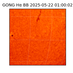 gong - 2025-05-22T01:00:02