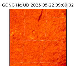 gong - 2025-05-22T09:00:02