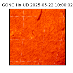 gong - 2025-05-22T10:00:02
