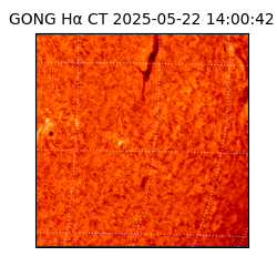 gong - 2025-05-22T14:00:42