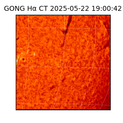 gong - 2025-05-22T19:00:42