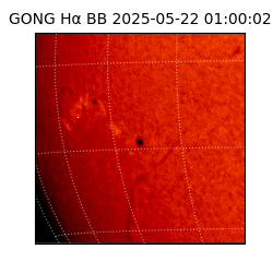 gong - 2025-05-22T01:00:02