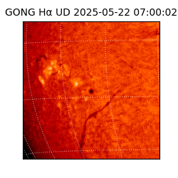 gong - 2025-05-22T07:00:02