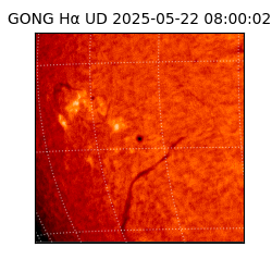 gong - 2025-05-22T08:00:02