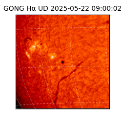 gong - 2025-05-22T09:00:02