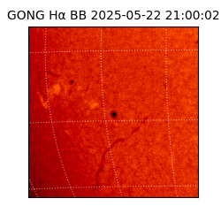 gong - 2025-05-22T21:00:02