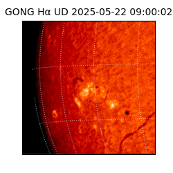 gong - 2025-05-22T09:00:02