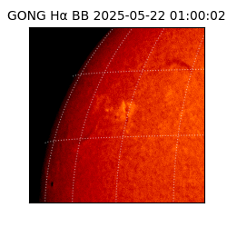 gong - 2025-05-22T01:00:02