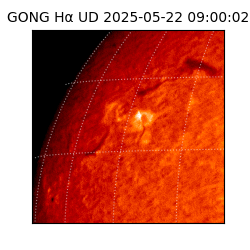 gong - 2025-05-22T09:00:02