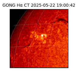gong - 2025-05-22T19:00:42