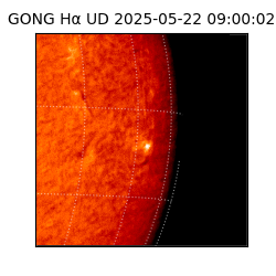 gong - 2025-05-22T09:00:02