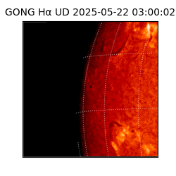 gong - 2025-05-22T03:00:02