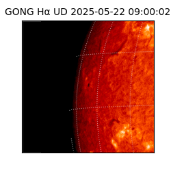 gong - 2025-05-22T09:00:02