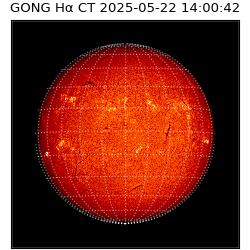 gong - 2025-05-22T14:00:42