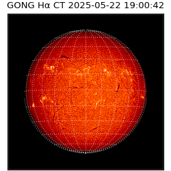 gong - 2025-05-22T19:00:42
