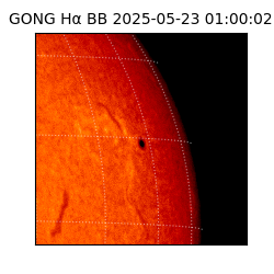 gong - 2025-05-23T01:00:02