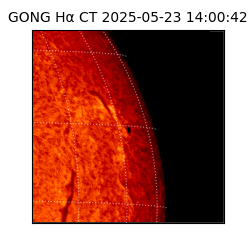 gong - 2025-05-23T14:00:42